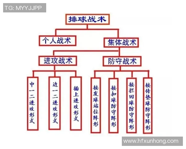 北京排球队整体压制体系的战术解析与实战应用探讨